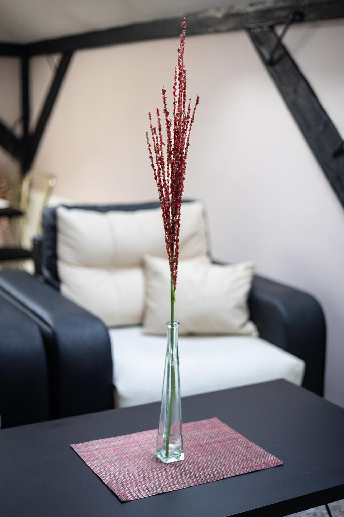 He-Ra Apartments With Free Parking Skopje Room photo
